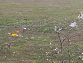 Teren constructii de vânzare, în Timişoara, zona Ciarda Roşie