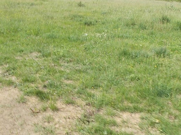 Teren 1000mp, fs=28m, Timisoara, Ronat, utilitati, asfalt – teren constructii de vanzare in Timişoara, judetul Timiş – XA8B0301K Teren 1000mp, fs=28m, Timisoara, Ronat, utilitati, asfalt – teren constructii de vanzare in Timişoara, judetul Timiş – XA8B0301K