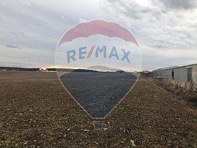 Teren constructii de vânzare, în Ciolpani
