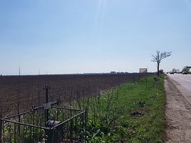 Teren agricol de vânzare, în Movilita