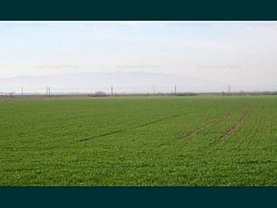 Teren agricol de vânzare, în Râmnicu de Jos