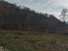 Teren agricol de vânzare, în Brasov, zona Noua