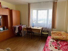 Apartament de vânzare 2 camere în Baia Mare, Decebal