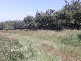 Teren agricol de vânzare, în Cluj-Napoca, zona Calea Turzii