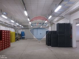 Închiriere spaţiu industrial în Raducaneni