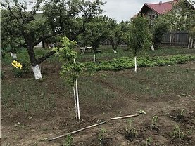 Teren constructii de vânzare, în Iaşi, zona Nicolina