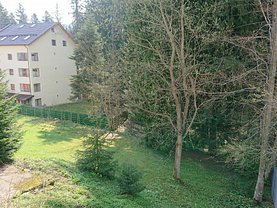 Teren padure de vânzare, în Predeal, zona Central