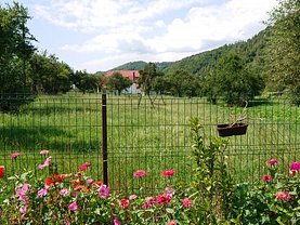 Teren faneata de vânzare, în Moieciu de Jos