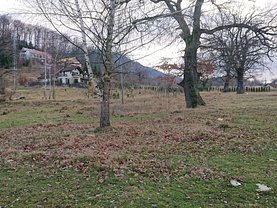 Teren constructii de vânzare, în Săcele, zona Dâmbul Morii
