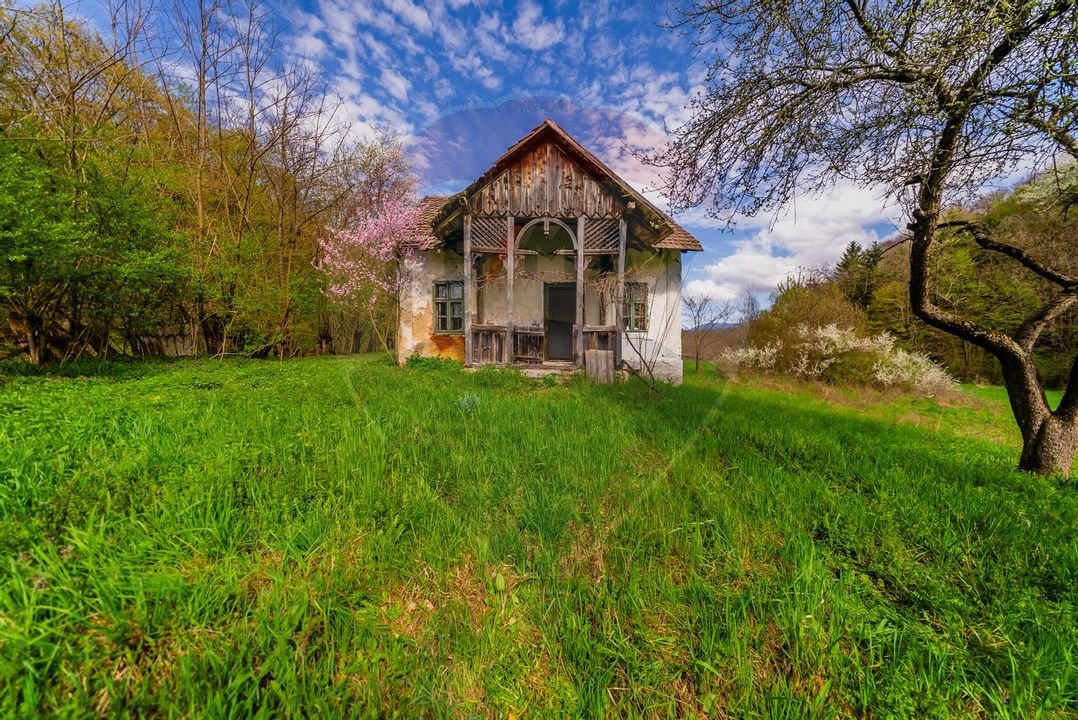 Casa de vacanta intr-o locatie de vis de vanzare in Carand,Romania