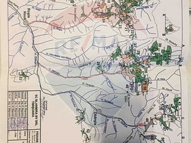 Teren padure de vânzare, în Petriş