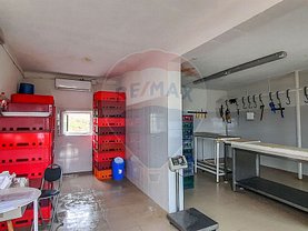 Vânzare spaţiu industrial în Dulceanca