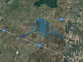 Teren agricol de vânzare, în Moşniţa Veche