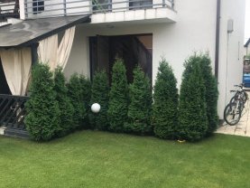 Casa de vânzare 4 camere, în Bragadiru, zona Haliu