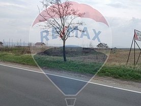 Teren agricol de vânzare, în Luizi-Calugara