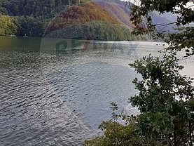 Teren padure de vânzare, în Tarniţa