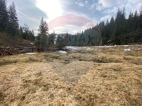 Teren constructii de vânzare, în Poiana Horea