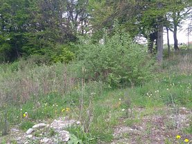 Teren constructii de vânzare, în Cluj-Napoca, zona Faget