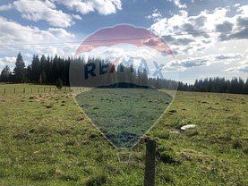 Teren agricol de vânzare, în Neagra Sarului
