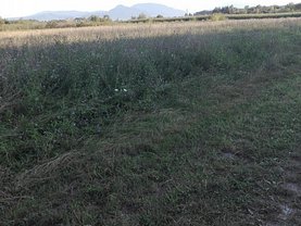 Teren constructii de vânzare, în Sanpetru