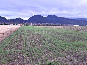 Teren constructii de vânzare, în Săcele, zona Baciu