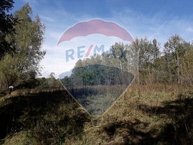 Teren constructii de vânzare, în Bujoreni
