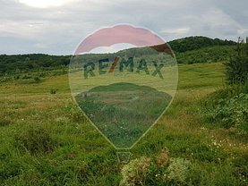 Teren agricol de vânzare, în Râmnicu Vâlcea, zona Goranu