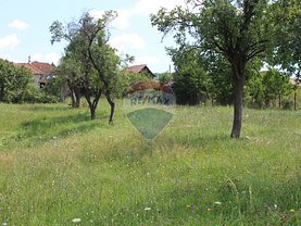 Teren constructii de vânzare, în Călimăneşti, zona Est