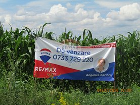 Teren agricol de vânzare, în Satu Mare, zona Careiului