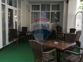 Vânzare ferma în Satu Mare, Semicentral