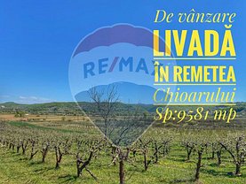 Teren agricol de vânzare în Remetea Chioarului