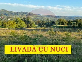 Teren agricol de vânzare, în Şurdeşti