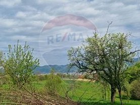Teren constructii de vânzare, în Groşi