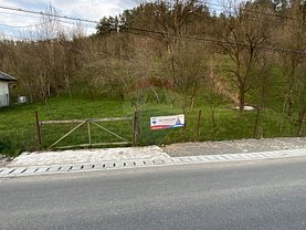 Teren constructii de vânzare, în Rozavlea