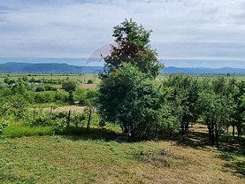 Teren agricol de vânzare în Ardusat