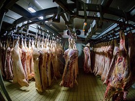 Vânzare ferma în Baia Mare, Sud-Vest