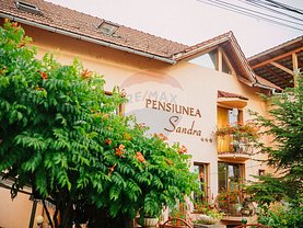 Vânzare hotel/pensiune în Ocna Sugatag