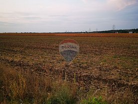Teren agricol de vânzare, în Biharia