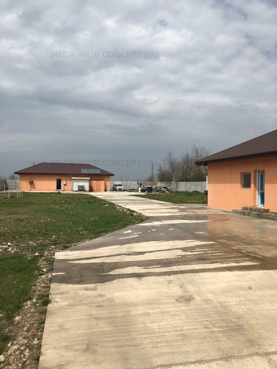 Casă, Teren Generos și Spațiu Productiv în Inima Sudului României