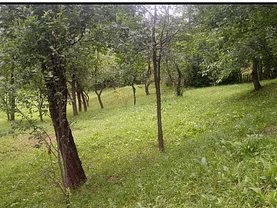 Teren constructii de vanzare, în Sotrile
