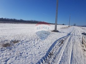 Teren agricol de vânzare în Daia