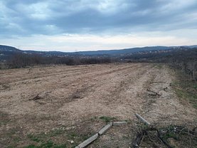 Teren agricol de vânzare, în Vişan