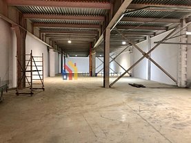 Închiriere spaţiu industrial în Iasi, Zona industriala