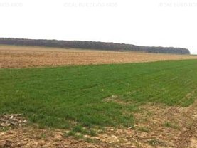 Teren agricol de vânzare în Scurtesti