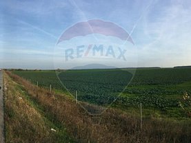 Teren agricol de vânzare, în Brăneşti