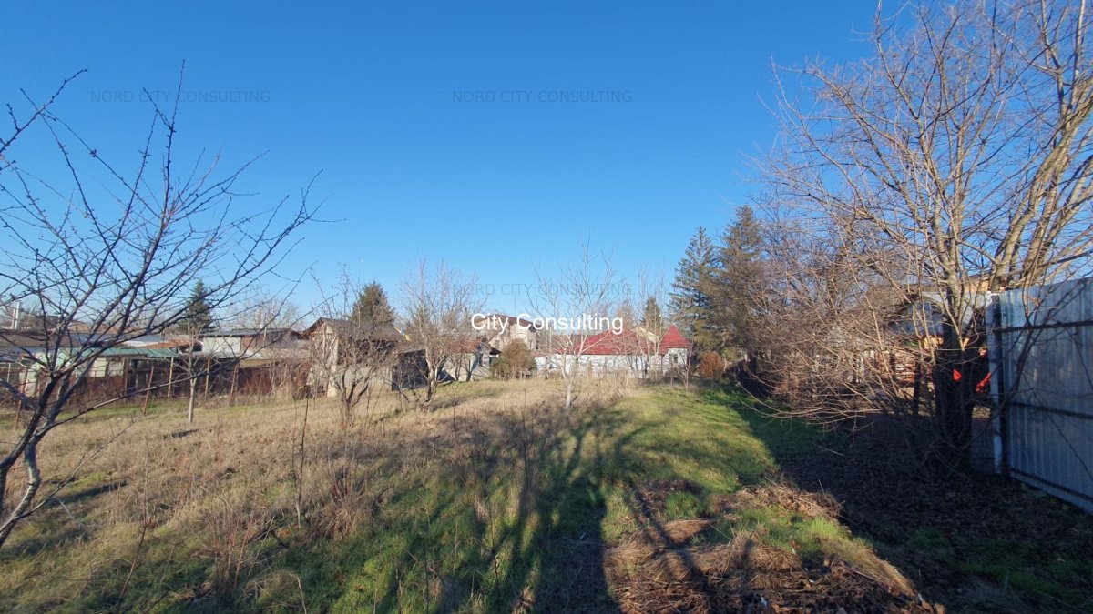 Vanzare casa cu teren Giurgiu, Calugareni