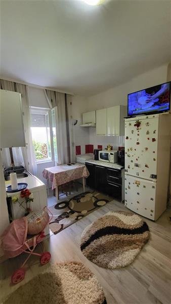 Apartament 1 camera