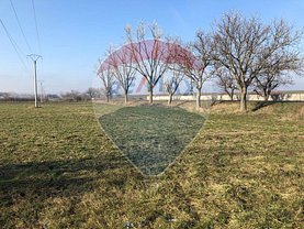 Teren constructii de vânzare, în Pecica, zona Periferie