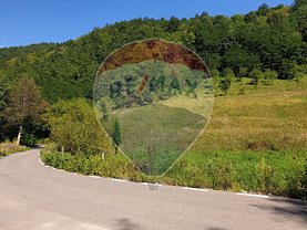 Teren agricol de vânzare, în Ribicioara