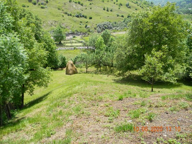 Teren Intravilan De Vanzare In Valea Doftanei Teren Constructii De Vanzare In Valea Doftanei Judetul Prahova Xb7513009 16 000 Eur